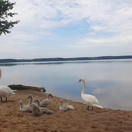 Labedzi Brzeg Jeziorowskie